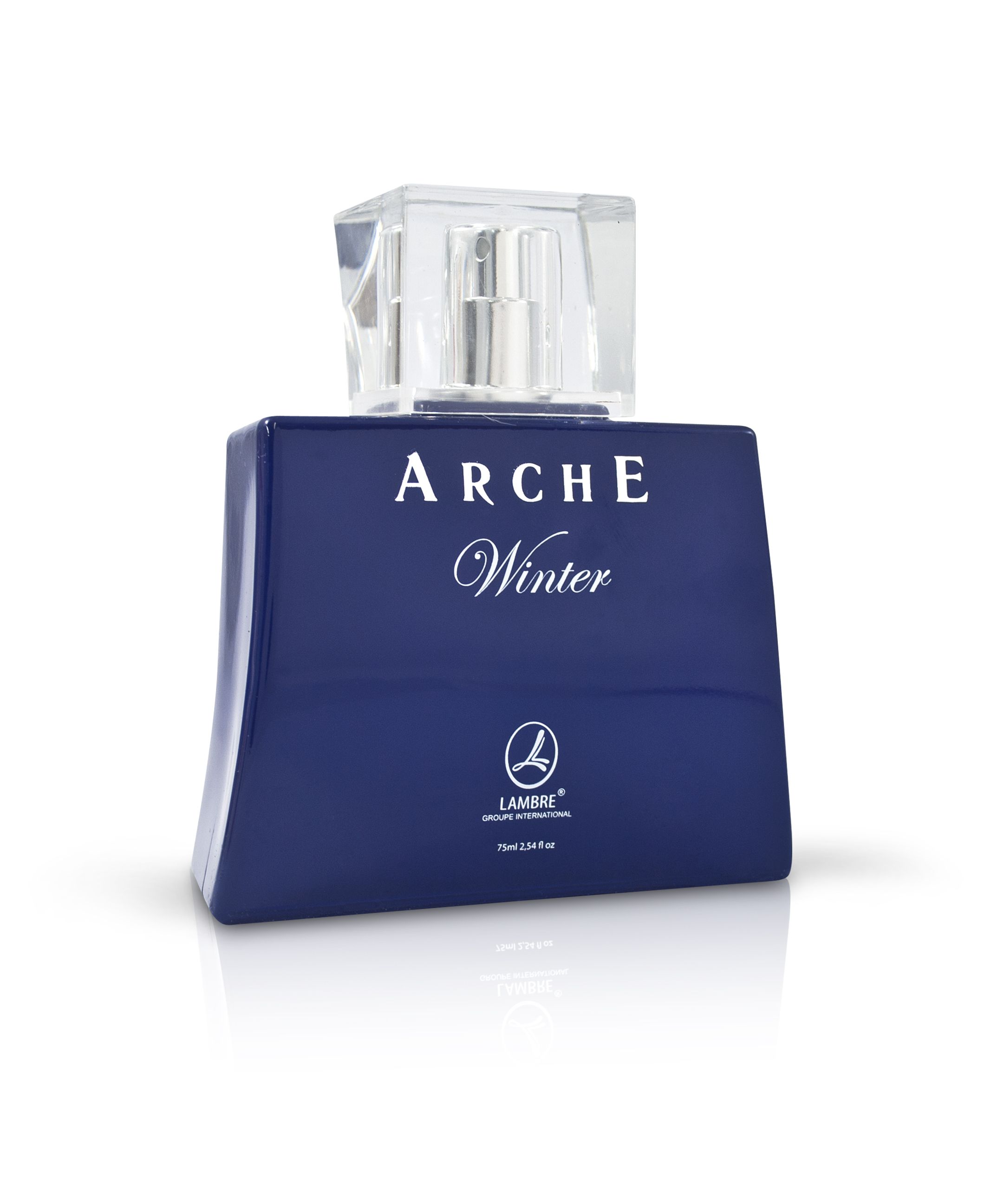 ARCHE WINTER Мужская туалетная вода 75 ML